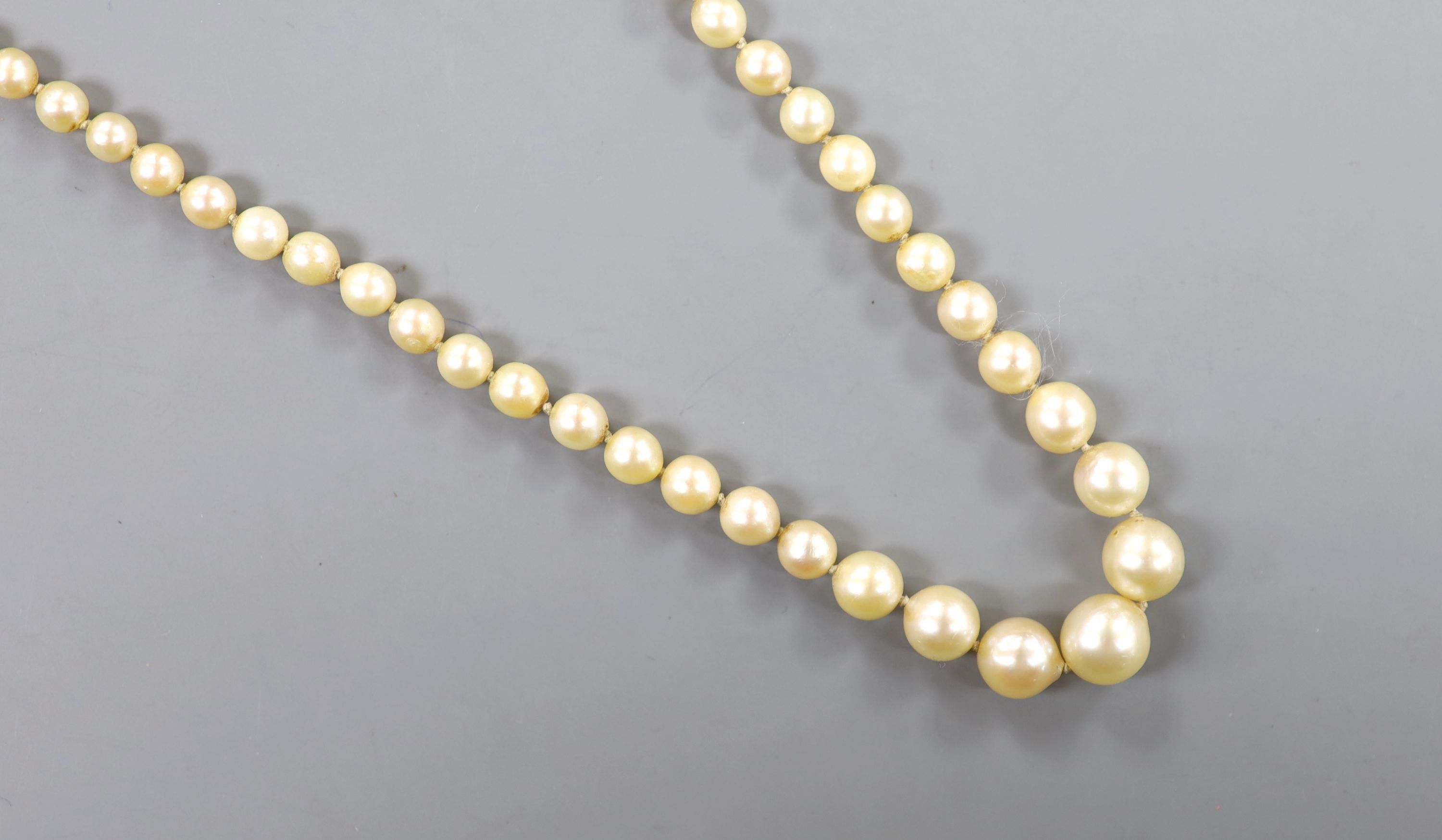 A single strand graduated cultured pearl necklace, with detache white metal clasp, 44cm.